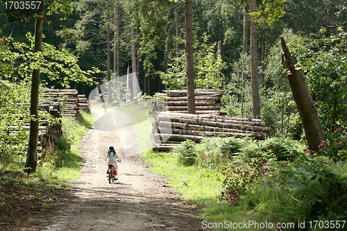 Image of children playing