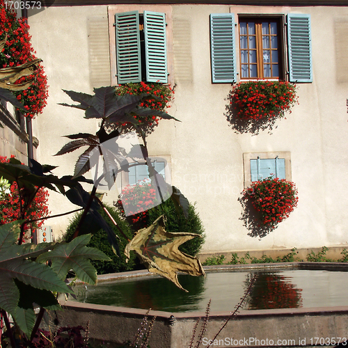 Image of alsacian vineyards