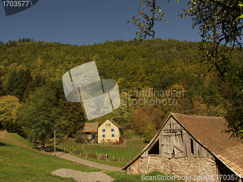 Image of alsacian vineyards