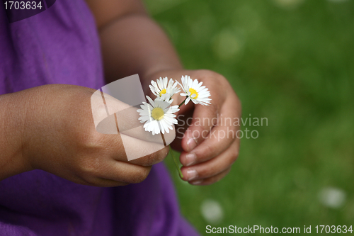 Image of flower child