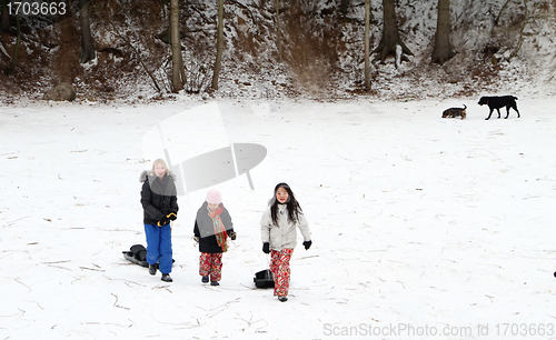 Image of toboggan