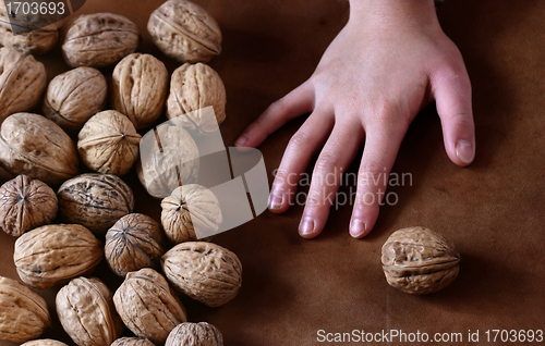 Image of nuts