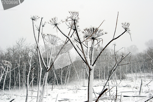 Image of nature landscape