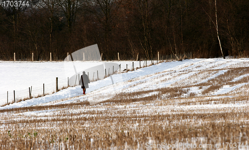 Image of snowy winter