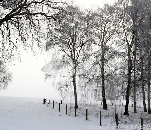 Image of winter in denmark