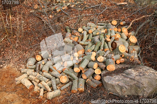 Image of wood