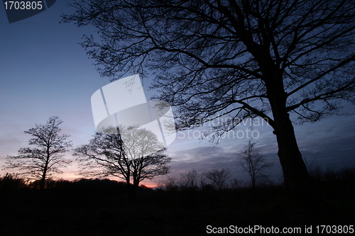 Image of Sunset landscape