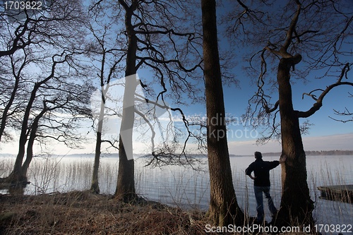 Image of lake forest