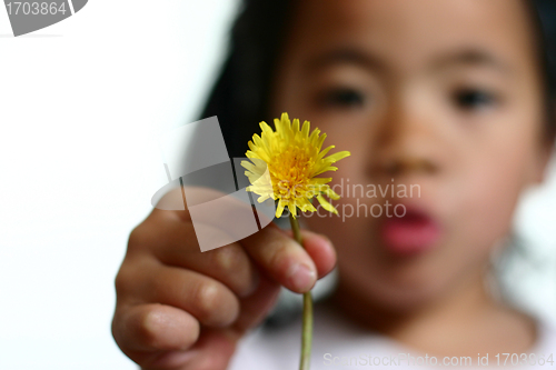 Image of dandelion child