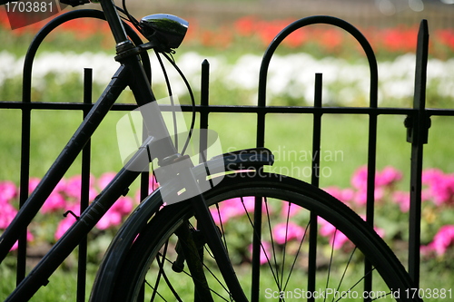 Image of Bikes in Amsterdam