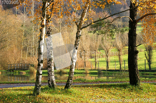 Image of alsacian landscape