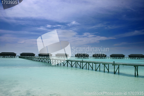 Image of maldives islands