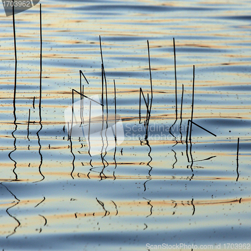 Image of lake