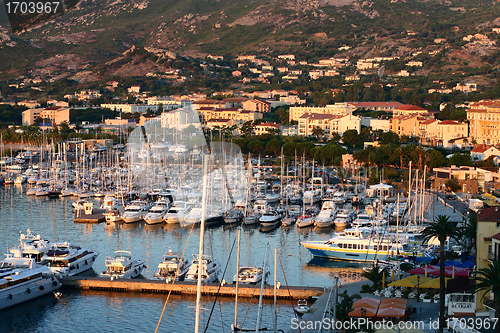 Image of calvi