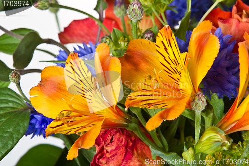 Image of Flowers