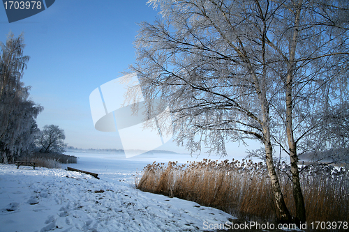 Image of winter in denmark