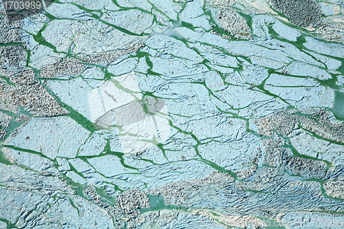 Image of Blue-green algae