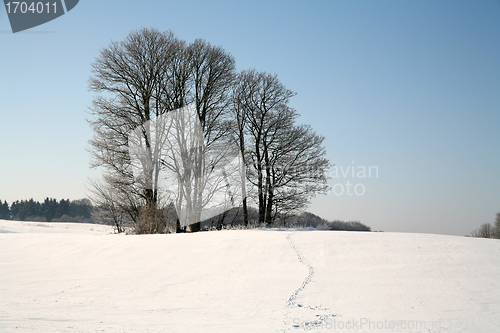 Image of winter in denmark