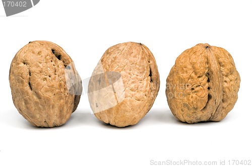 Image of Nuts