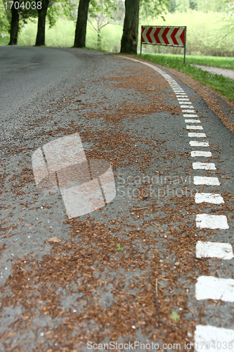 Image of road