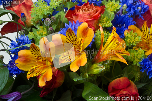 Image of Flowers