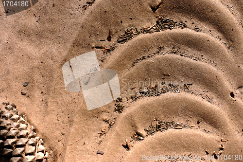 Image of Pattern in the sand in Corsica
