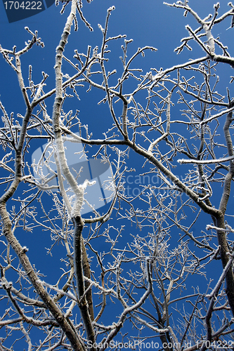 Image of snowy winter