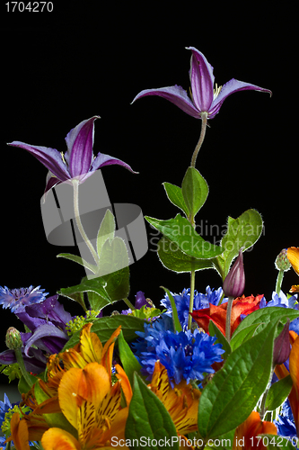 Image of Flowers