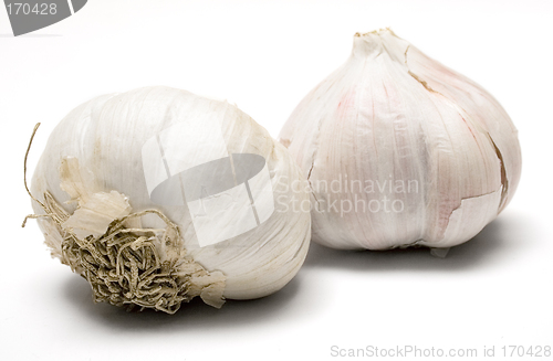 Image of Garlic Bulbs