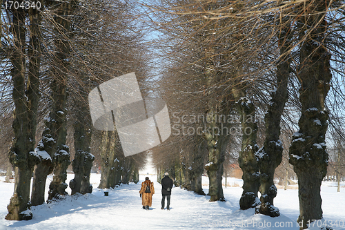 Image of winter in denmark