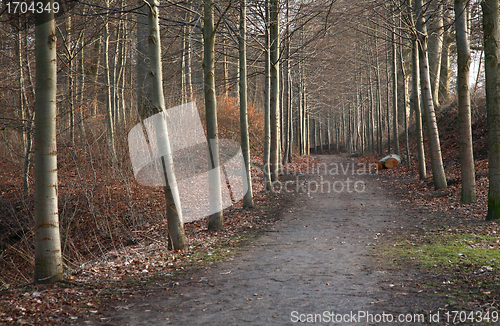 Image of alley