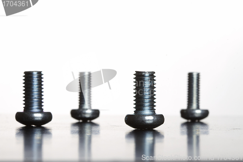 Image of Bolt