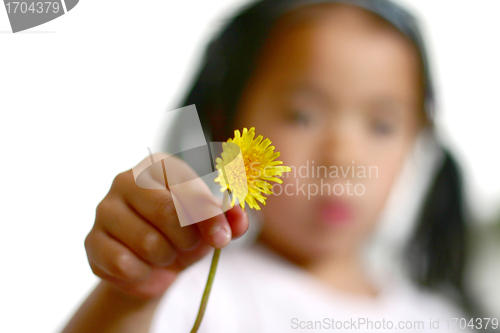 Image of dandelion child