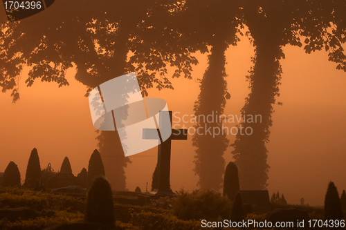 Image of foggy cemetary