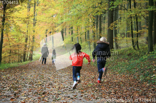 Image of child outdoor in forest