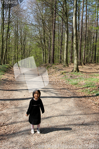 Image of spring forest