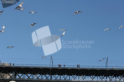Image of bridge