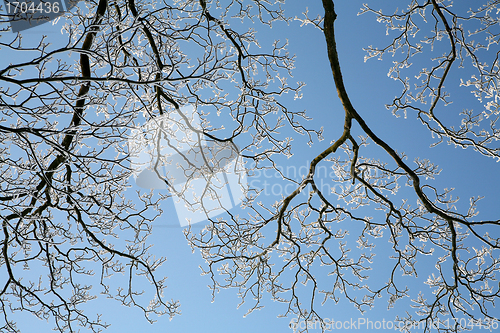 Image of snowy winter