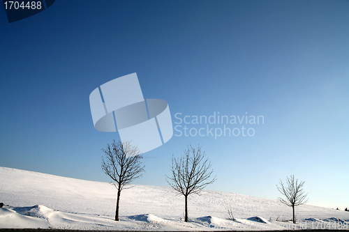 Image of snowy winter