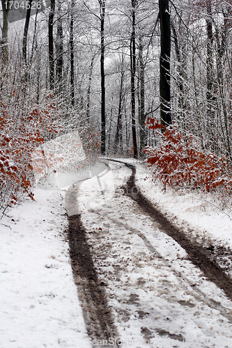 Image of danish winter 