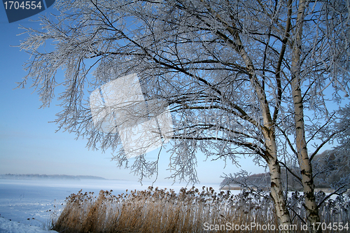 Image of winter in denmark