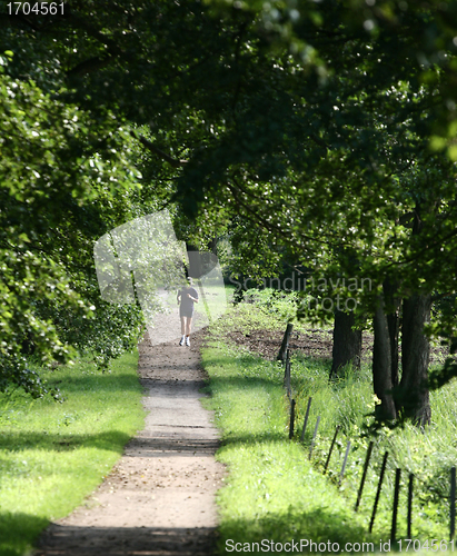 Image of run in the forest