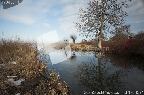 Image of lake forest