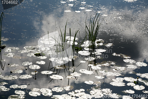 Image of lake