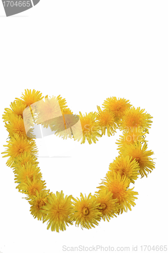 Image of yellow flowers