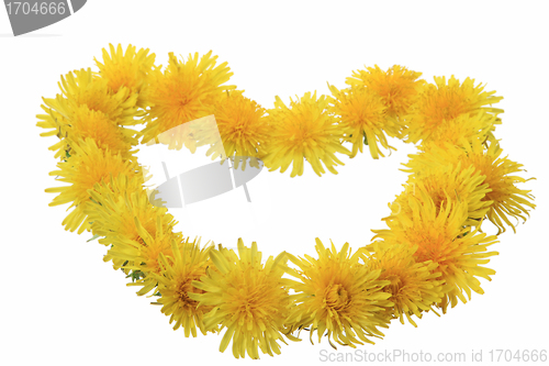 Image of yellow flowers