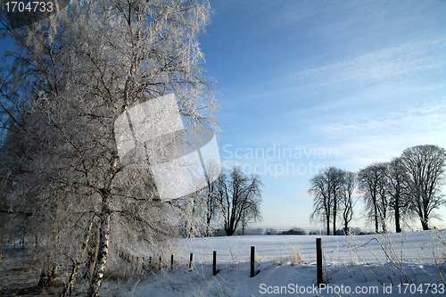 Image of winter in denmark