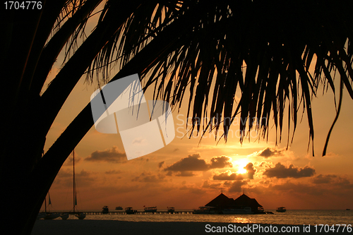 Image of maldives islands