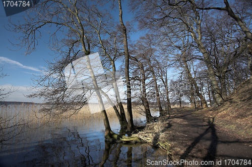 Image of lake forest
