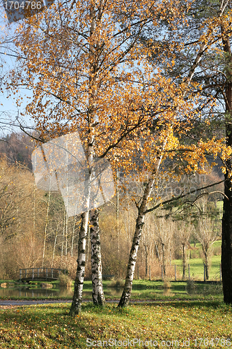Image of alsacian landscape